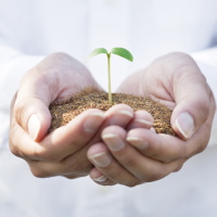 �����������������C���[�W